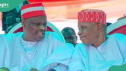Kano: New twist as poll predicts Governor Yusuf, Kwankwaso will leave NNPP for APC