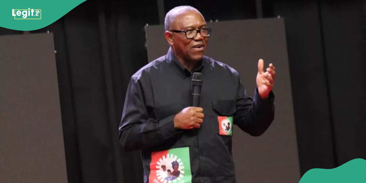 “Powerful political interests”: Peter Obi responds to serious allegation levelled against him