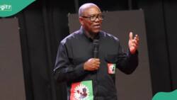 “We are aware”: Aide discloses fresh plot against Peter Obi