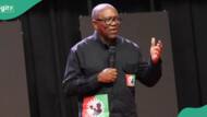 “We are aware”: Aide discloses fresh plot against Peter Obi
