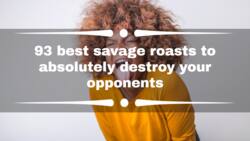 93 best savage roasts to absolutely destroy your opponents