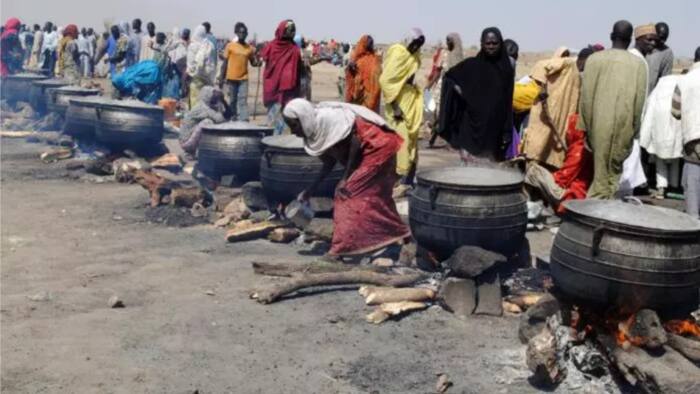 Tallafin abinci: Gwamnatin Borno ta damke mutum 26 da ke karbar cin hanci daga IDPs mata