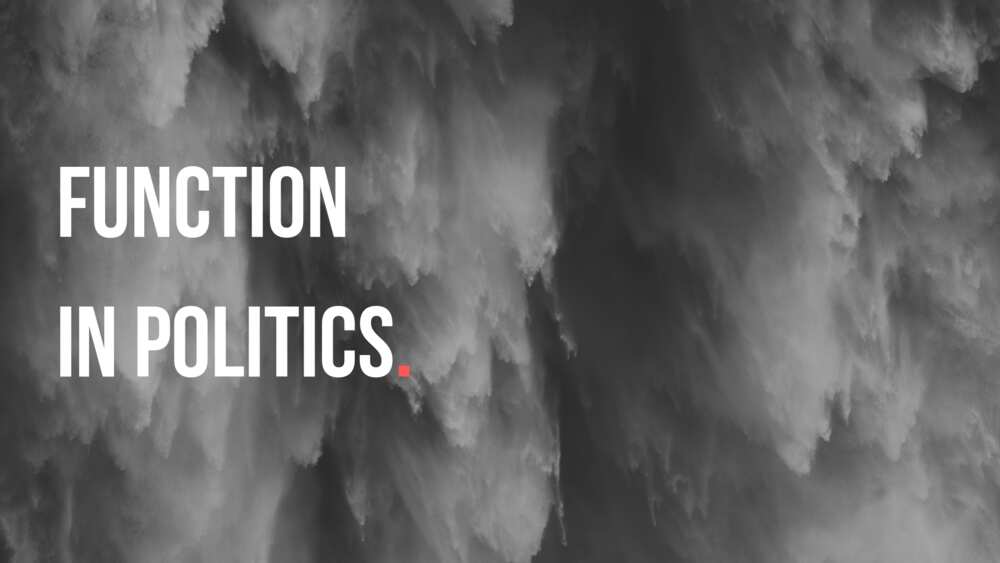 Functions of government in politics