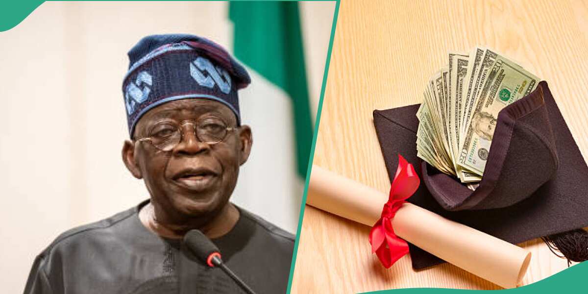 Get funding fast: Essential steps to apply for Tinubu's student loans