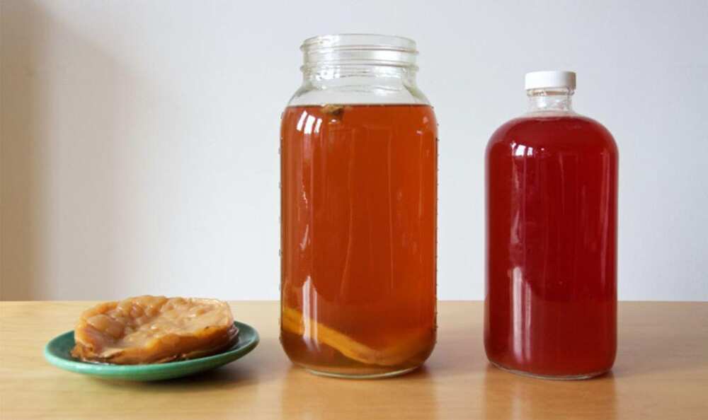 Benefits of kombucha Benefits of kombucha