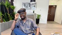 Timi Frank to Sylva: "You are a serial liar, tell Nigerians about your true identity, certificates"