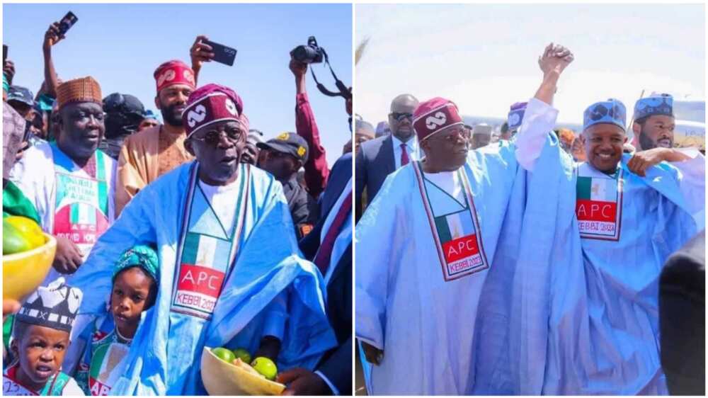 Bola Tinubu/APC/Abubakar Malami/Atiku Bagudu/2023 Election Bola Tinubu/APC/Abubakar Malami/Atiku Bagudu/2023 Election