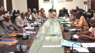 Strike called off? Details of FG's meeting with ASUU finally emerge