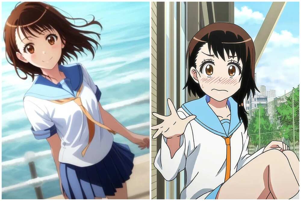 Top anime waifus Top anime waifus