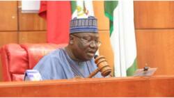 “We’ll turn the heat on MDAs”, Lawan blows hot, declares end to FG’s continued borrowing