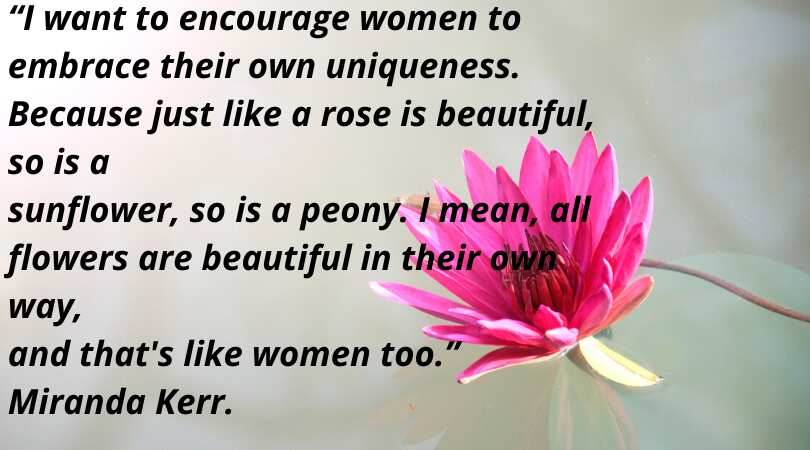 Quotes about beauty