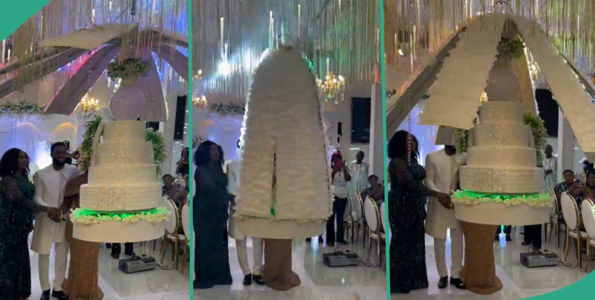 Video shows stunning moment wedding cake descended from ‘heaven’, opens its ‘wings’ in style