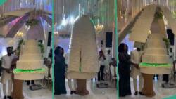"Wonders shall never end": People react as wedding cake comes down from 'heaven' and opens 'wings'