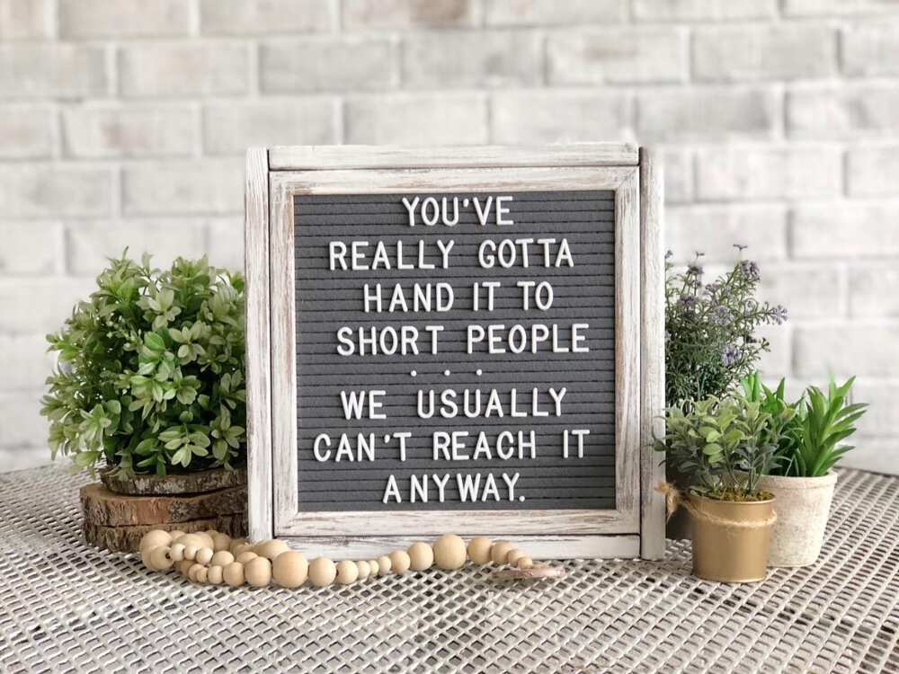 Short girl memes