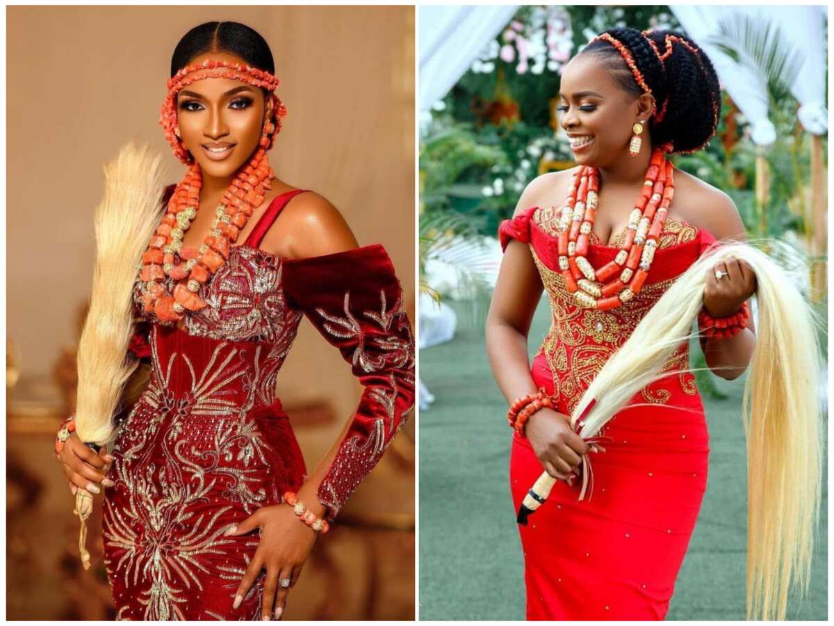 Igbo bride hotsell traditional wedding attire