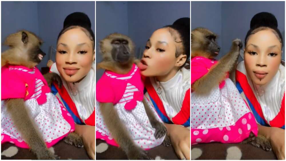 Lady kissed her pet/Monkey with earring.