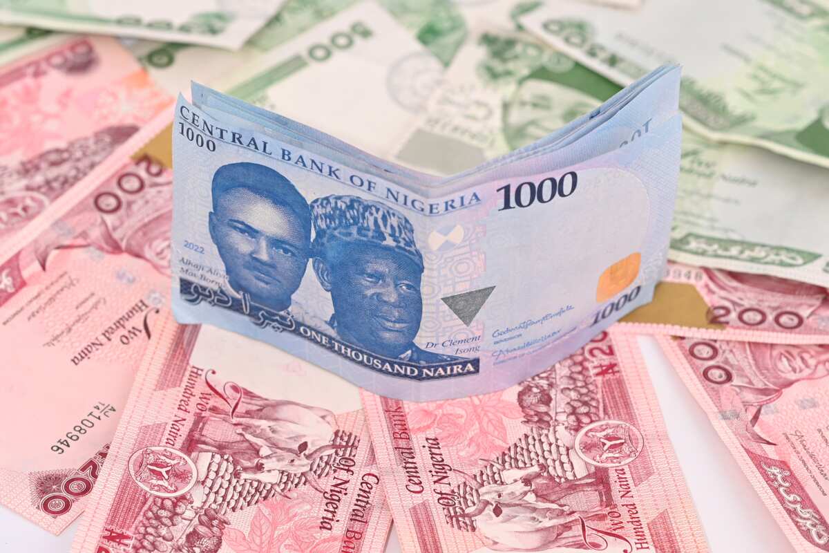 Nigeria, 9 African nations with high-interest rates whose citizens can't borrow Money