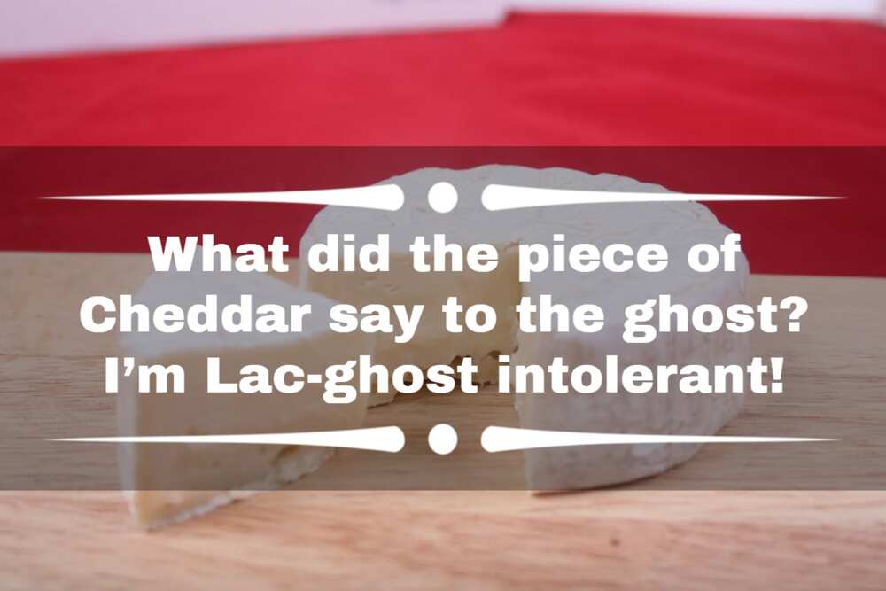 jokes about cheese jokes about cheese