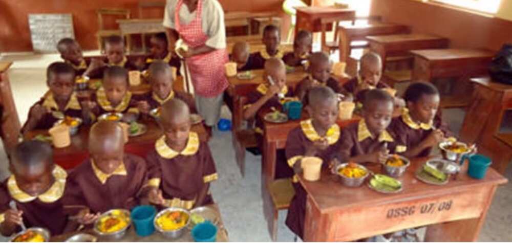School Feeding