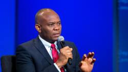 Tony Elumelu gains N3.3 billion in one day from the sale of UBA shares