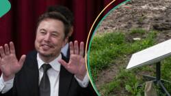Elon Musk’s slashes Starlink Price as naira appreciates against the dollar