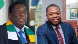 Zimbabwe: President Mnangagwa appoints son, nephew as deputy ministers