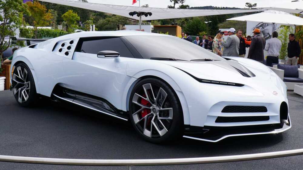 Cento in all white.
Photo source: Wikipedia Cento in all white.
Photo source: Wikipedia