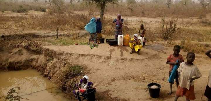 Adamawa Community Where Indigenes Drink Same Water With Their Animals