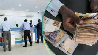 Nigerian banks search for cash, rush to CBN, borrow over N1trn in hours