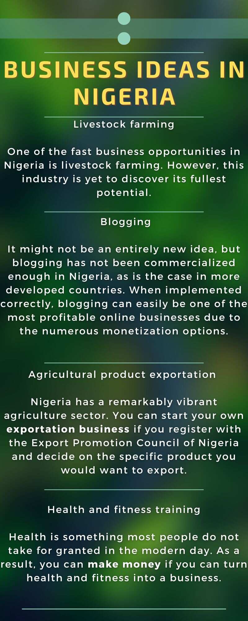 Business ideas in Nigeria