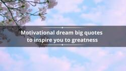 33 motivational dream big quotes to inspire you to greatness