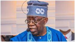2023: Forget South-East, Tinubu must become Nigeria's next president, Arewa leader