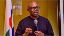 Finally, Peter Obi opens up on ESN violent attacks in southeast, reveals strong position
