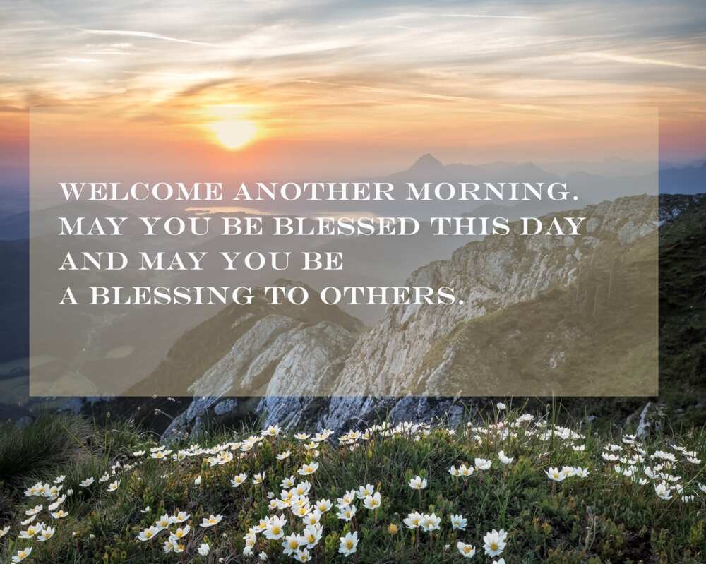 good morning friday blessings good morning friday blessings