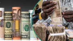 Dollar bows as naira stages remarkable recovery in both official and black markets