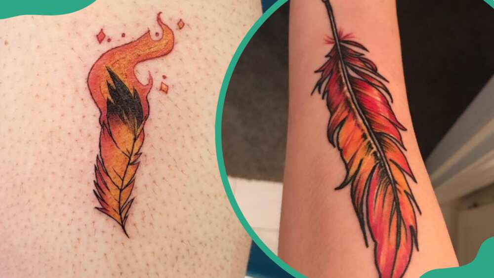 Phoenix feather tattoos