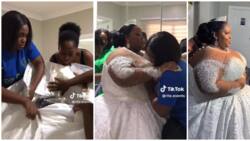 It takes a village: Video of plus-size bride getting dressed on her wedding day trends online