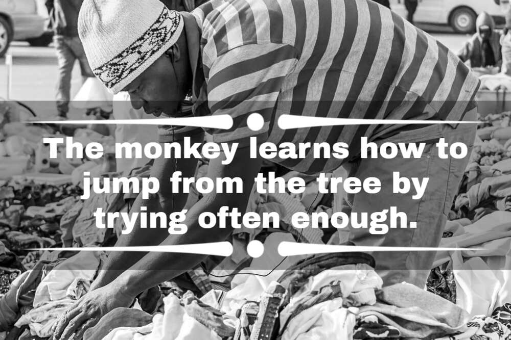 Nigeria street quotes about money Nigeria street quotes about money