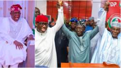 Fresh headache for Tinubu as Ayu, Okowa stage ‘black uniform’ protest at INEC headquarters Monday