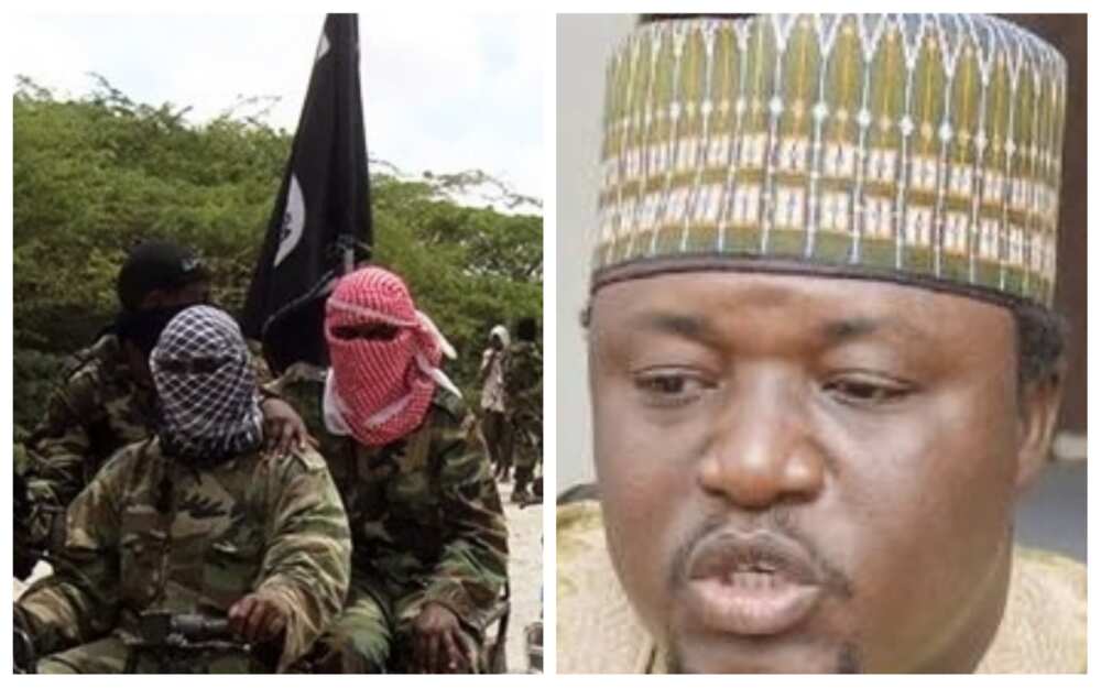 Yan Boko Haram na cin karnukansu ba babbaka a Arewa maso gabas da yamma kulli yaumin
