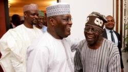 Just in: Are Atiku, Tinubu meeting to form a new party ahead of 2023? Jonathan’s former minister Maku speaks
