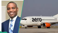 CEO explains why Nigeria’s oldest airline competing with Air Peace, Max Air others shut down