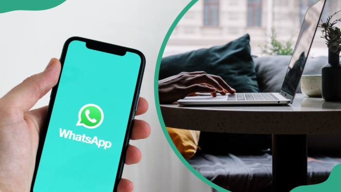 How to use WhatsApp on PC without a phone: Foolproof methods that work