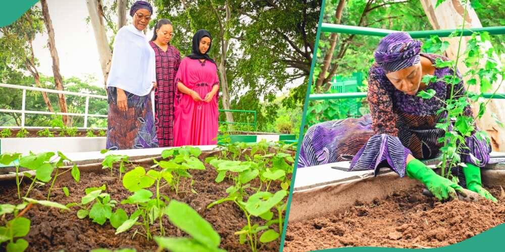 Tinubu's wife encourages women farmers in Nigeria, shows off vegetable garden