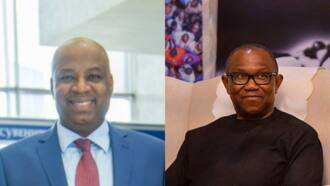 Peter Obi: PDP chairman in Russia backs Labour Party presidential candidate for president