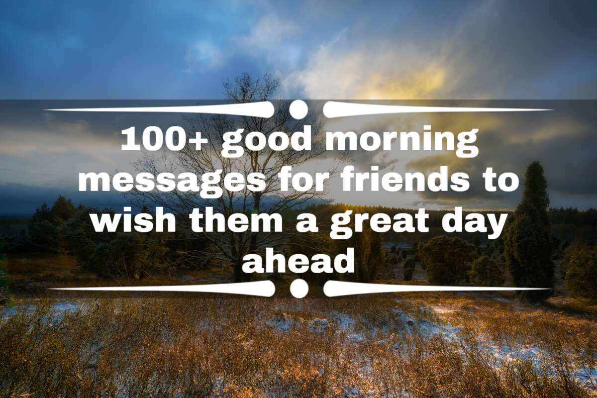 100+ Good Morning Messages For Friends To Wish Them A Great Day Ahead -  Legit.Ng