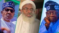 'Yan bindiga: Sheikh Ahmad Gumi ya ja kunnen Tinubu kan maimaita kuskuren Buhari
