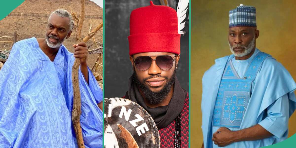 AMVCA 2024: Find out who Nigerians support to win best lead actor