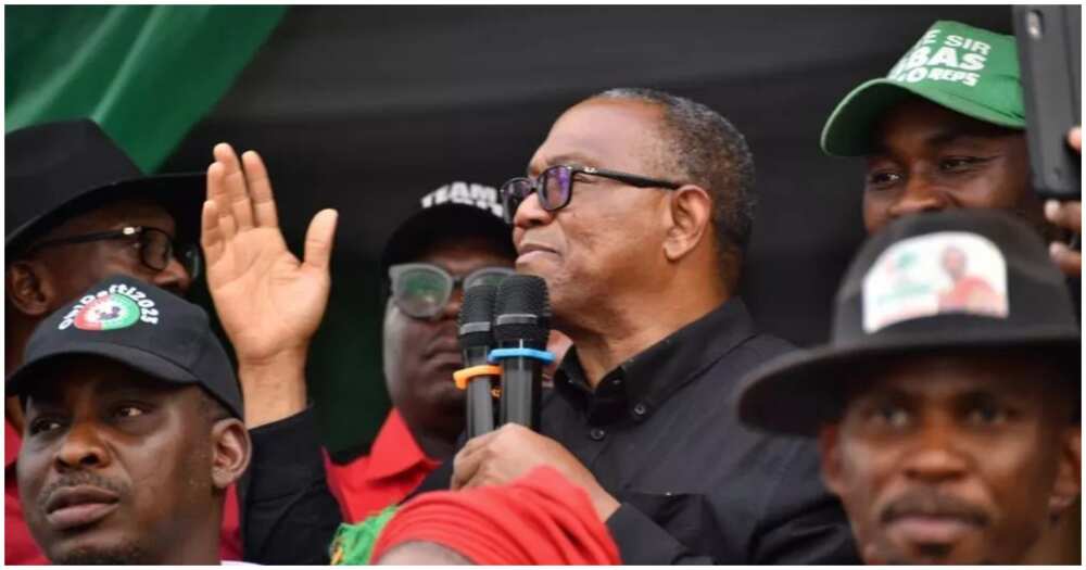 Peter Obi/Peter Obi news/Peter Obi news today/latest about Peter Obi