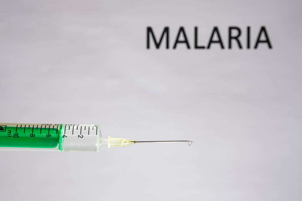 List of 7 important things Nigerians need to know about groundbreaking malaria vaccine